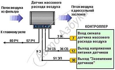 Тип