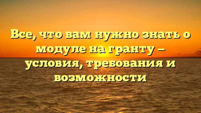 Все, что вам нужно знать о модуле на гранту — условия, требования и возможности