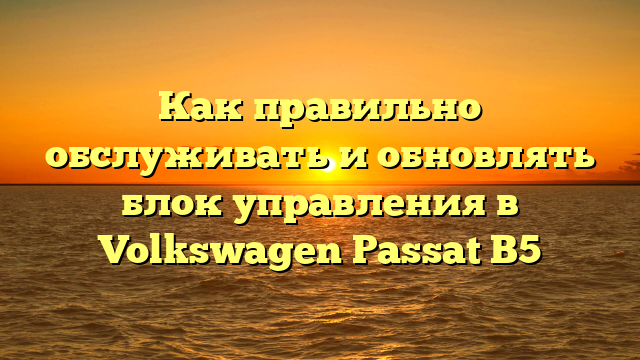 Как правильно обслуживать и обновлять блок управления в Volkswagen Passat B5