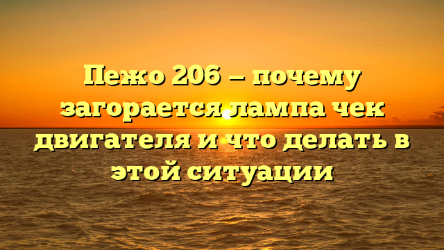 Пежо 206 — почему загорается лампа чек двигателя и что делать в этой ситуации