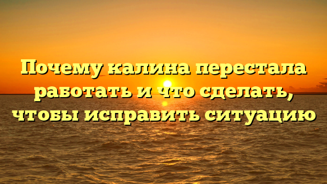 Почему калина перестала работать и что сделать, чтобы исправить ситуацию