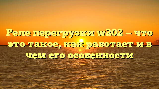 Реле перегрузки w202 — что это такое, как работает и в чем его особенности