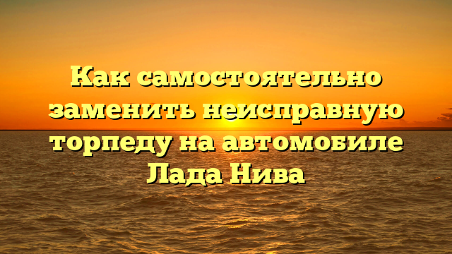 Как самостоятельно заменить неисправную торпеду на автомобиле Лада Нива